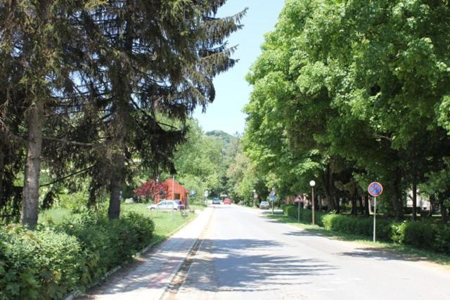 Apartman Vrdnicak Vrdnik Luaran gambar